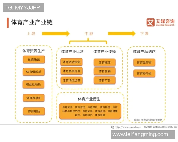 体育产业链深度解析